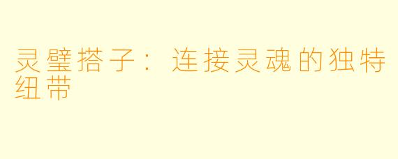 灵璧搭子：连接灵魂的独特纽带