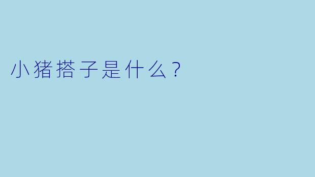 小猪搭子是什么？