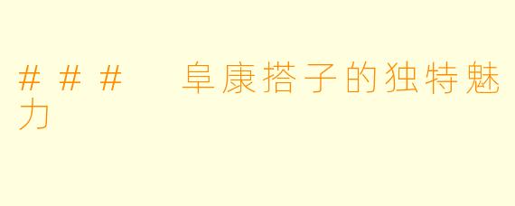 ### 阜康搭子的独特魅力