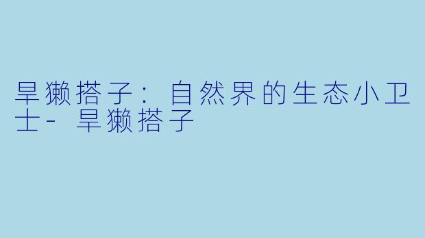 旱獭搭子：自然界的生态小卫士-旱獭搭子