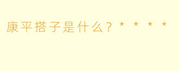 康平搭子是什么？****