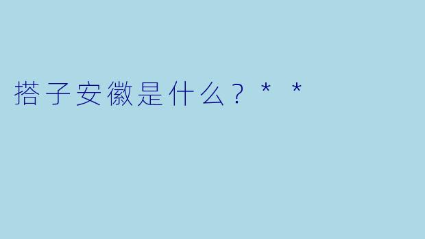 搭子安徽是什么？**