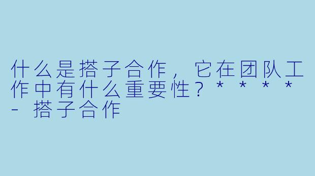 什么是搭子合作,它在团队工作中有什么重要性?****
