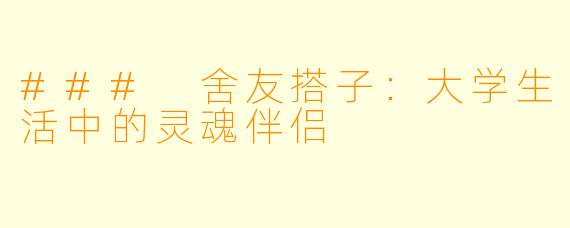 ### 舍友搭子：大学生活中的灵魂伴侣
