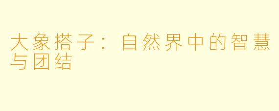 大象搭子：自然界中的智慧与团结