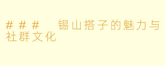 ### 锡山搭子的魅力与社群文化