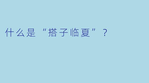 什么是“搭子临夏”？  