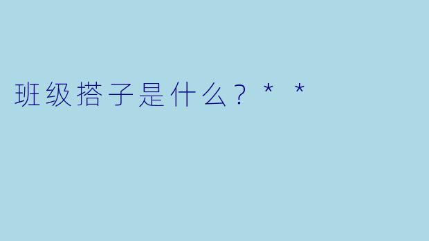 班级搭子是什么？**