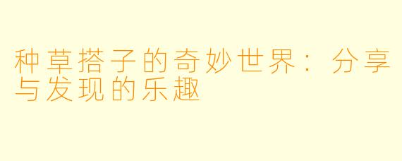 种草搭子的奇妙世界：分享与发现的乐趣