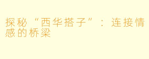 探秘“西华搭子”：连接情感的桥梁