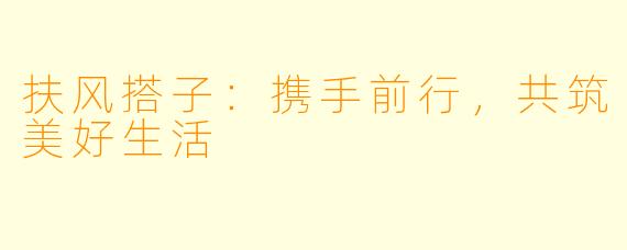 扶风搭子：携手前行，共筑美好生活