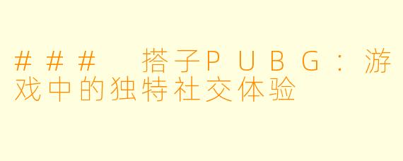 ### 搭子PUBG：游戏中的独特社交体验