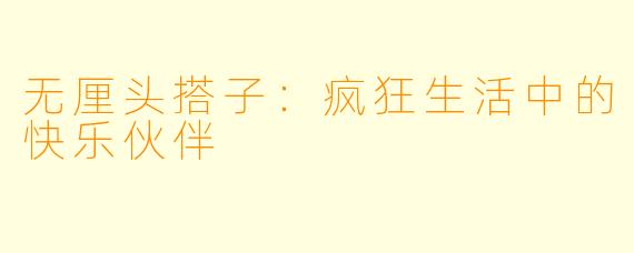 无厘头搭子：疯狂生活中的快乐伙伴