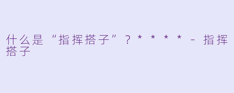什么是“指挥搭子”？****