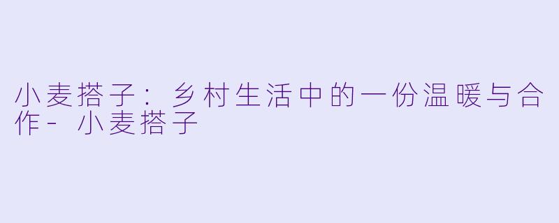小麦搭子：乡村生活中的一份温暖与合作