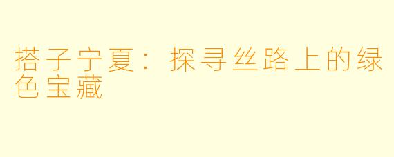 搭子宁夏:探寻丝路上的绿色宝藏