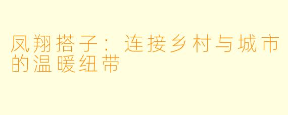 凤翔搭子：连接乡村与城市的温暖纽带