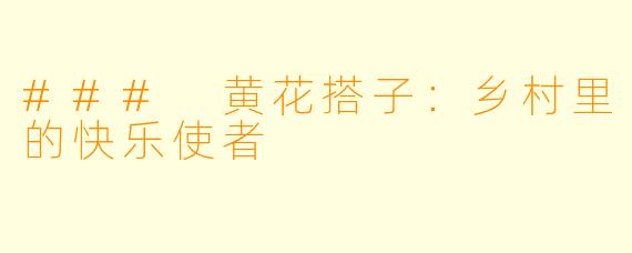 ### 黄花搭子:乡村里的快乐使者