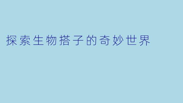 探索生物搭子的奇妙世界