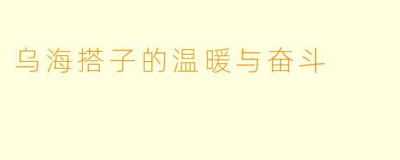 乌海搭子的温暖与奋斗