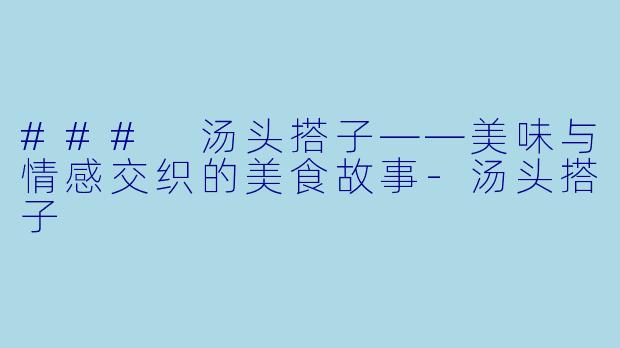 ### 汤头搭子——美味与情感交织的美食故事-汤头搭子