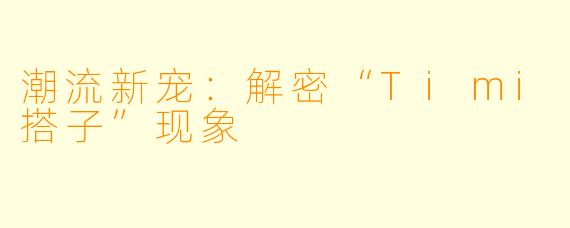 潮流新宠:解密“Timi搭子”现象