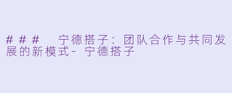 ### 宁德搭子：团队合作与共同发展的新模式-宁德搭子