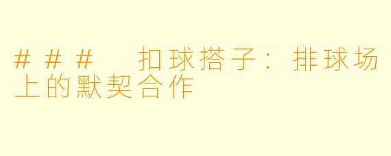 ### 扣球搭子：排球场上的默契合作