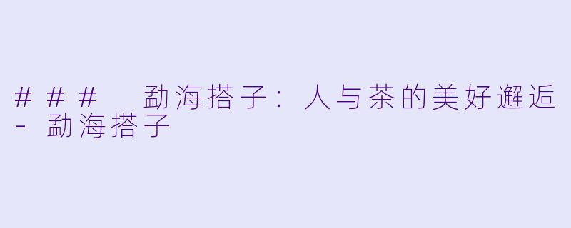 ### 勐海搭子：人与茶的美好邂逅-勐海搭子