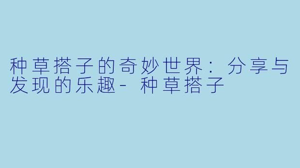 种草搭子的奇妙世界:分享与发现的乐趣