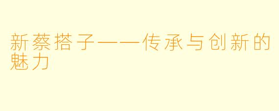 新蔡搭子——传承与创新的魅力