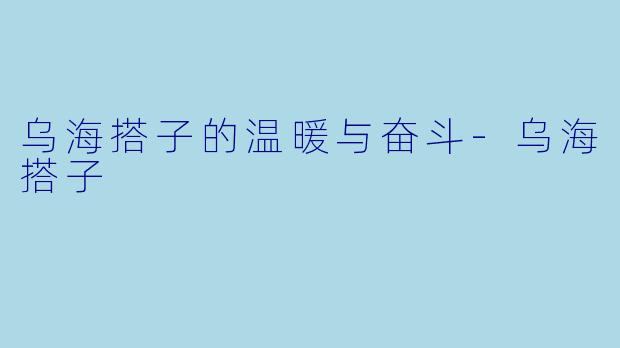 乌海搭子的温暖与奋斗-乌海搭子