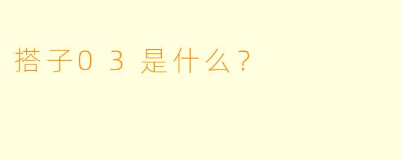 搭子03是什么？