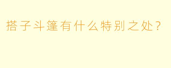 搭子斗篷有什么特别之处？