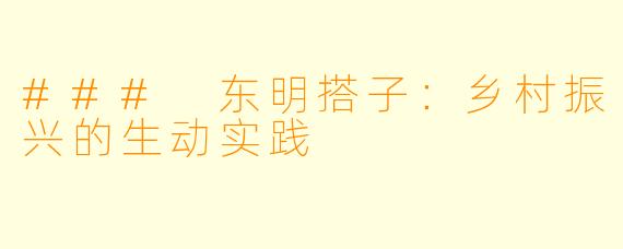 ### 东明搭子:乡村振兴的生动实践