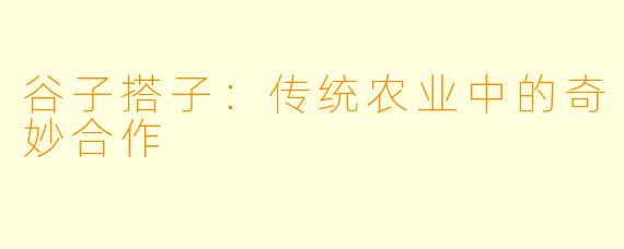 谷子搭子：传统农业中的奇妙合作