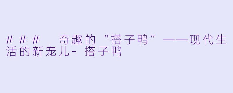 ### 奇趣的“搭子鸭”——现代生活的新宠儿
