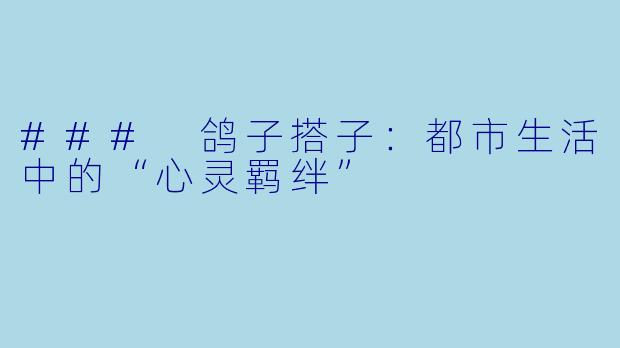 ### 鸽子搭子：都市生活中的“心灵羁绊”