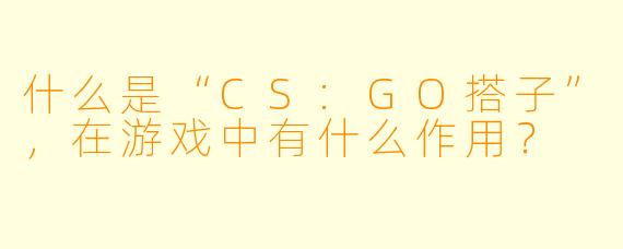 什么是“CS:GO搭子”,在游戏中有什么作用?