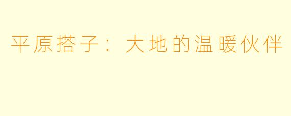 平原搭子：大地的温暖伙伴