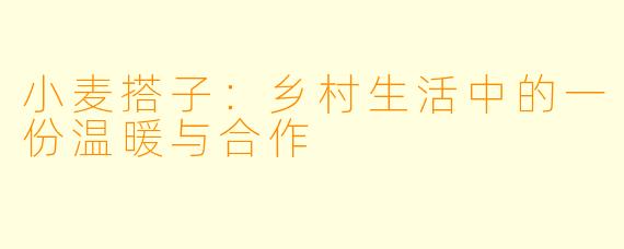 小麦搭子：乡村生活中的一份温暖与合作