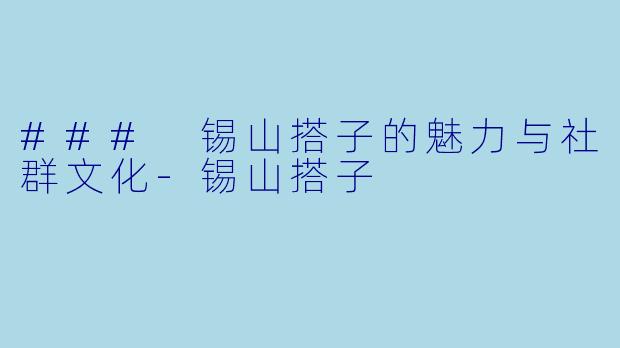 ### 锡山搭子的魅力与社群文化-锡山搭子