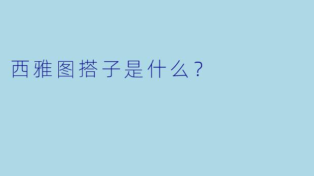 西雅图搭子是什么？  