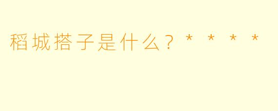 稻城搭子是什么？****