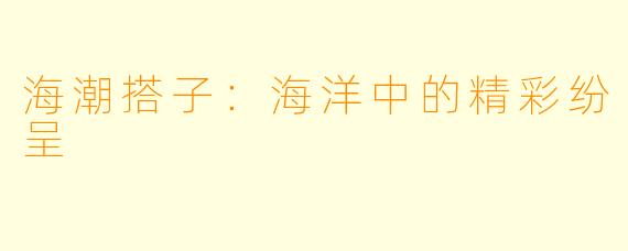 海潮搭子：海洋中的精彩纷呈
