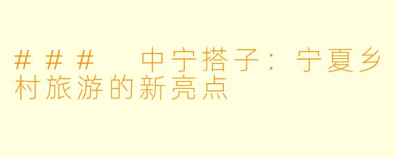 ### 中宁搭子：宁夏乡村旅游的新亮点
