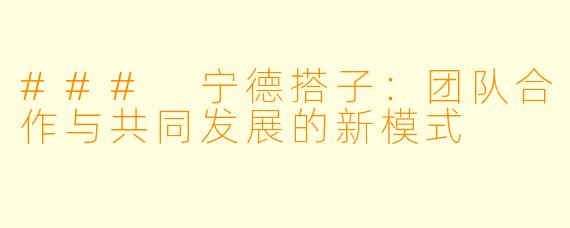 ### 宁德搭子:团队合作与共同发展的新模式