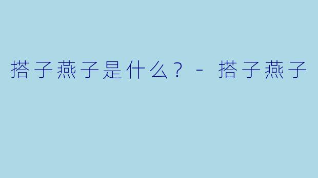 搭子燕子是什么？