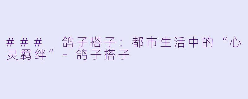 ### 鸽子搭子：都市生活中的“心灵羁绊”-鸽子搭子