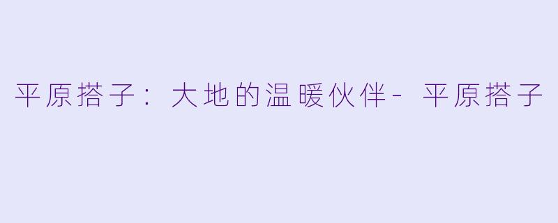 平原搭子：大地的温暖伙伴-平原搭子